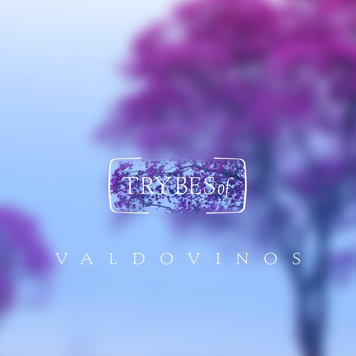 VALDOVINOS ASTERISMS EP